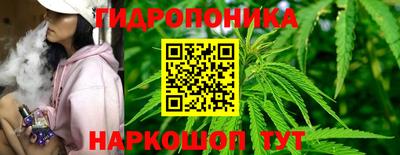 каннабис Камышлов