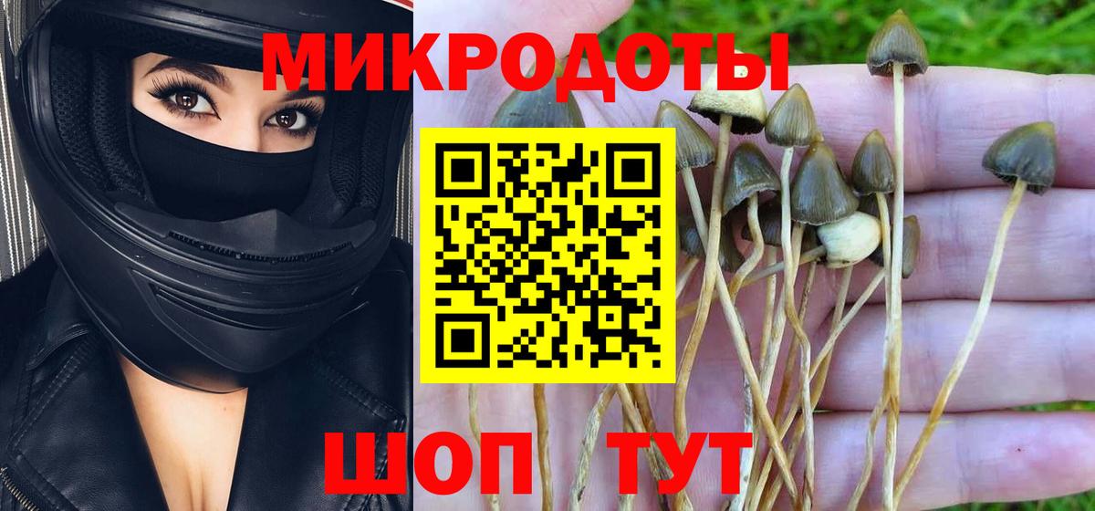 Псилоцибиновые грибы мухоморы  Вход с VPN  Кизилюрт 