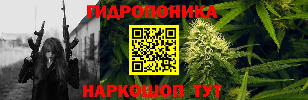 Бошки Шишки VHQ  Каннабис индика  Бошки марихуана тримм  Вход с VPN  Кизилюрт 